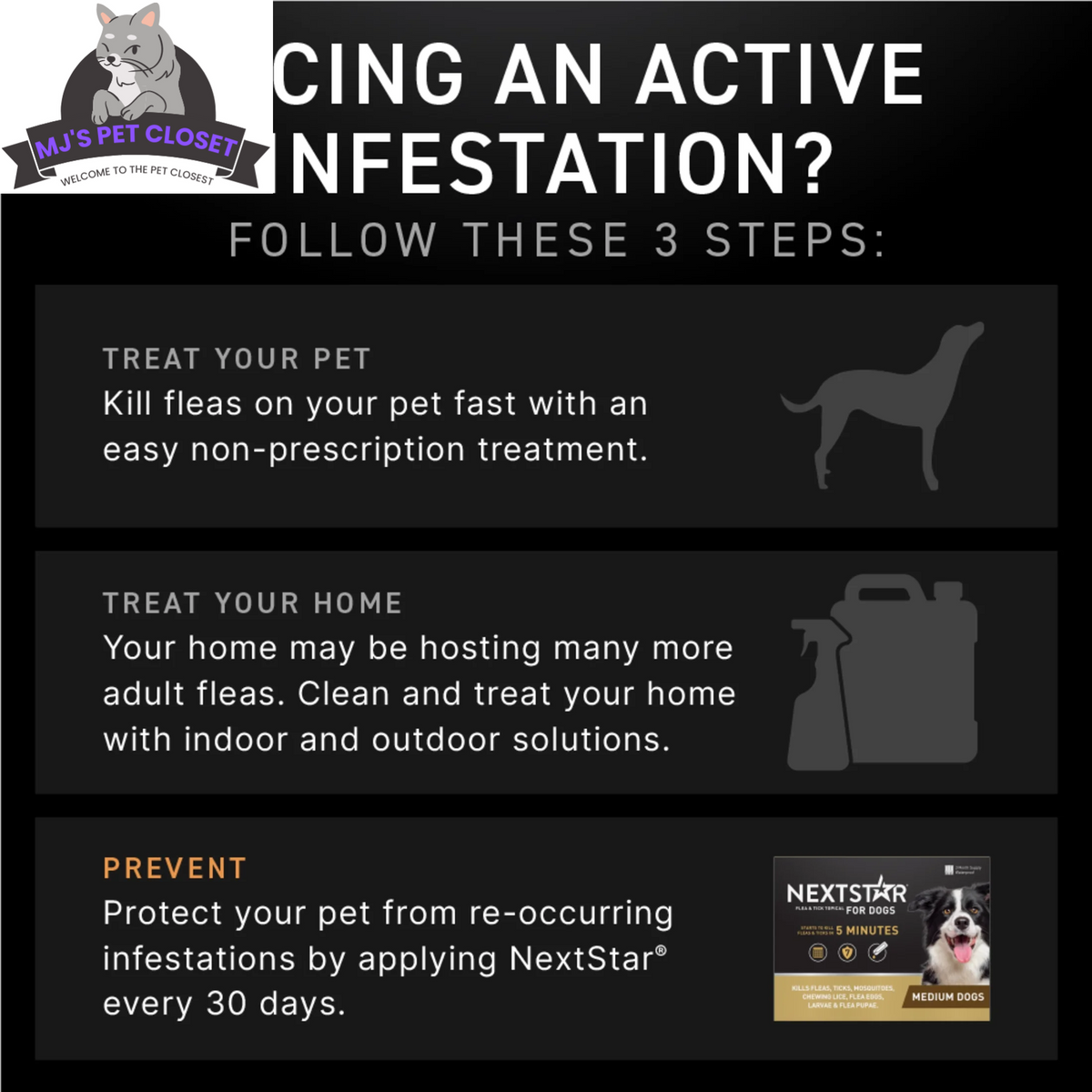 Flea & Tick Defense