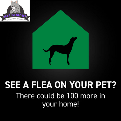 Dog Fleas & Ticks Topical