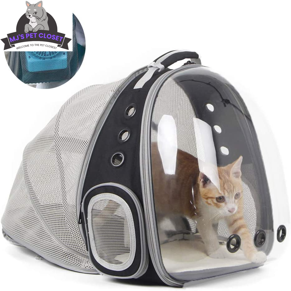 Cat Bubble Backpack
