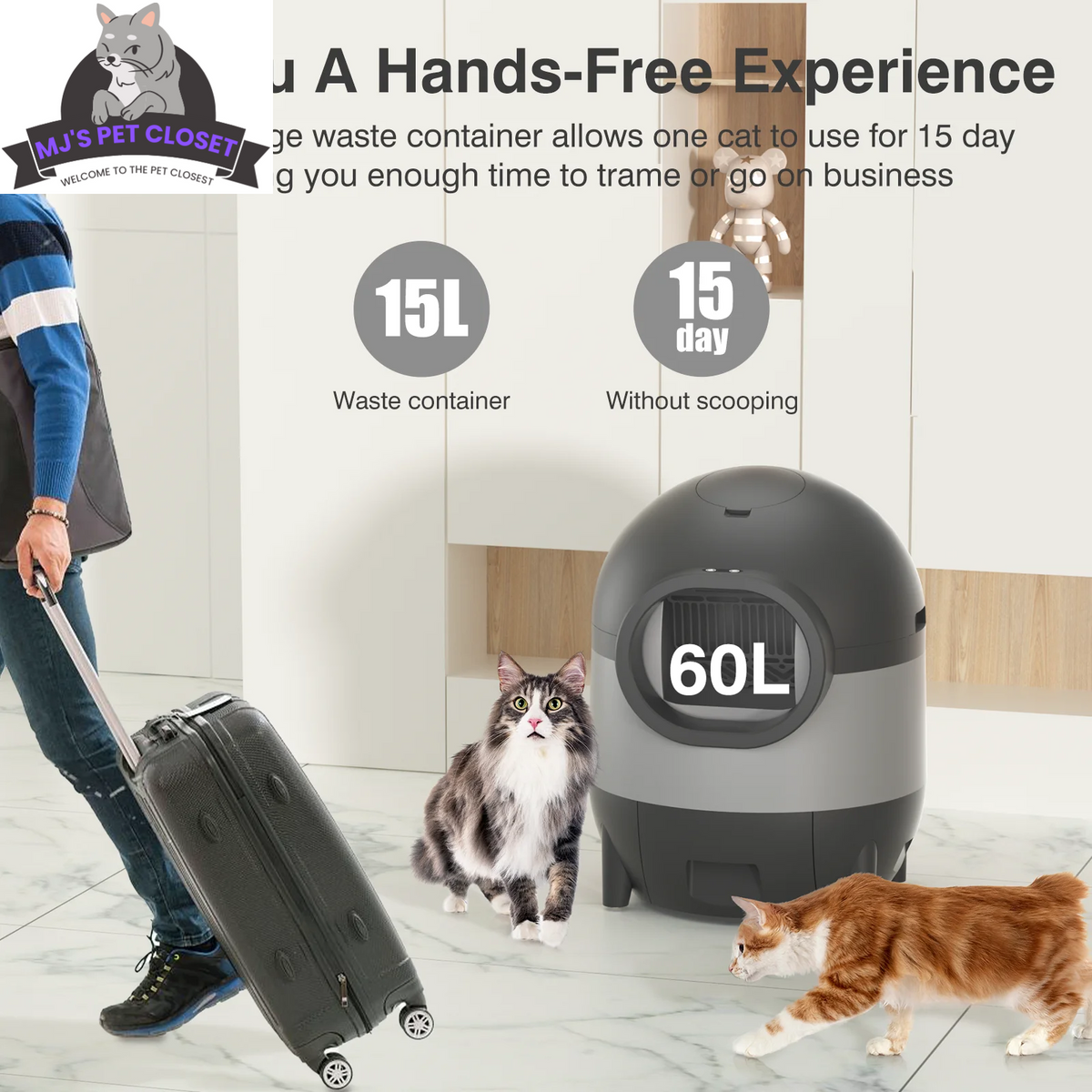 Self-Cleaning Cat Litter Box