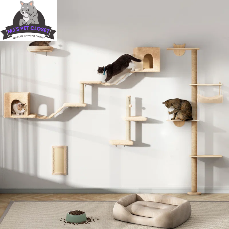 Cat's Climbing Tower
