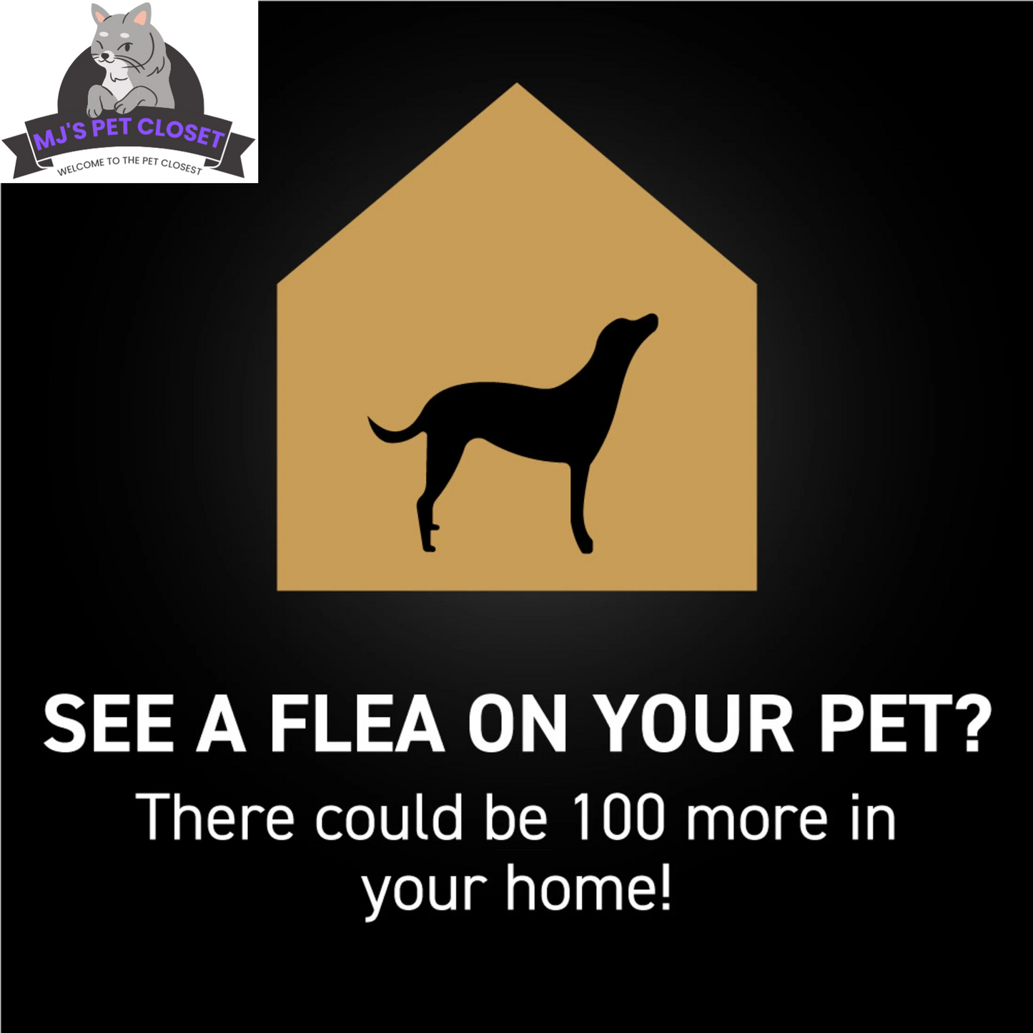 Flea & Tick Defense