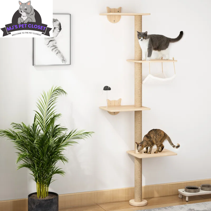 Cat's Climbing Tower