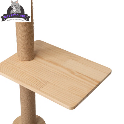 Cat's Climbing Tower