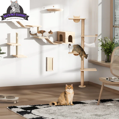 Cat's Climbing Tower