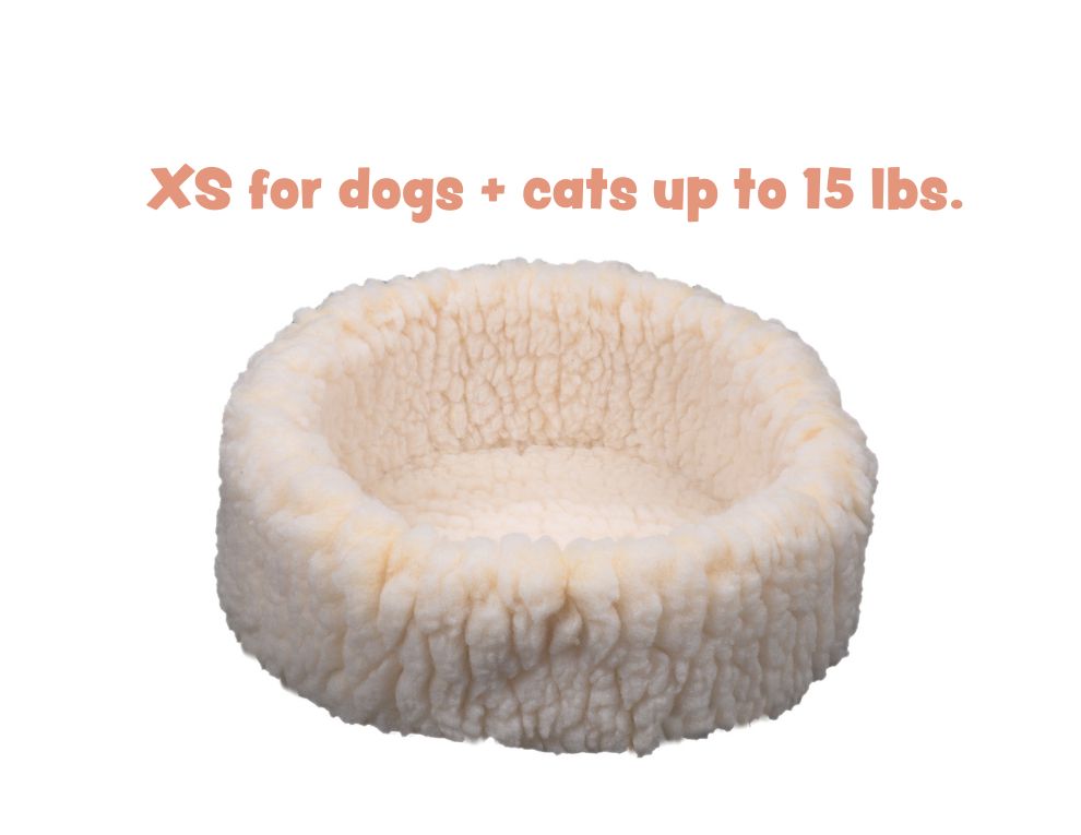 Cat & Dog Beds